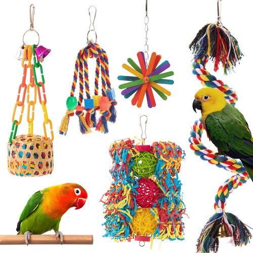 Bird toys parakeet - toy, parrot